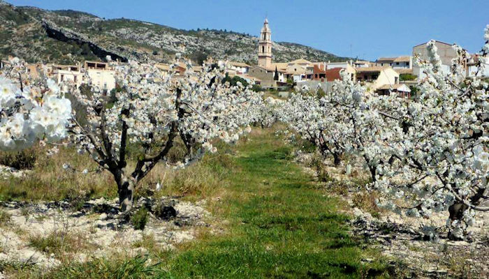 Qué ver en Vall de Gallinera